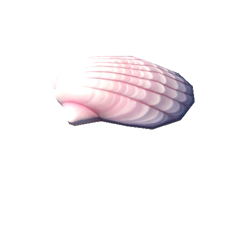 2949971+shell (1)